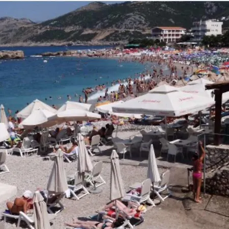 Holiday Obradovici *